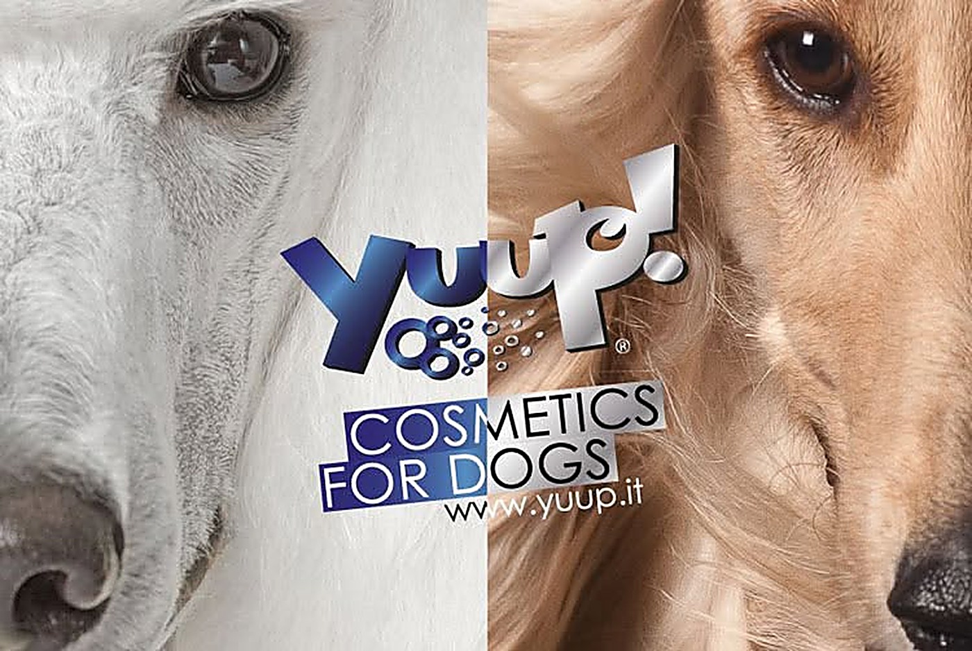 Logo Yuup!, gamme professionnelle de cosmétiques pour chiens utilisée au salon Bulle d'Eau Canine