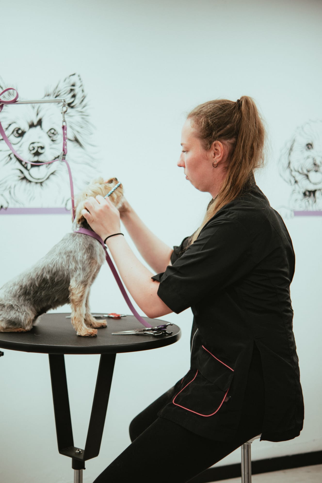 Marie toilettant un chien sur la table de toilettage du salon Bulle d'Eau Canine